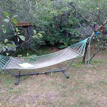 Appart Independant, 1 Lit Deux Personnes Et 1 Appoint Piscine Jardin Direct Gare Aeroport Et Jardin Toulouse Eksteriør bilde