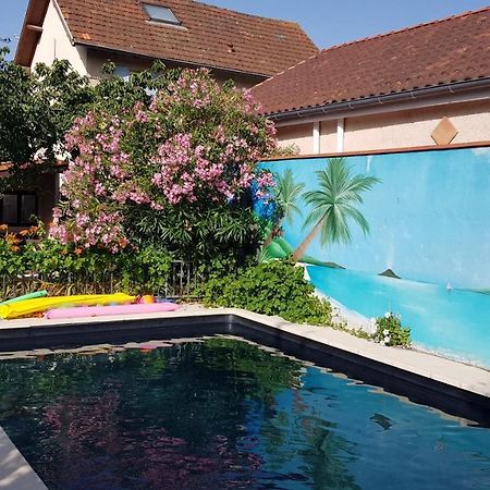 Appart Independant, 1 Lit Deux Personnes Et 1 Appoint Piscine Jardin Direct Gare Aeroport Et Jardin Toulouse Eksteriør bilde