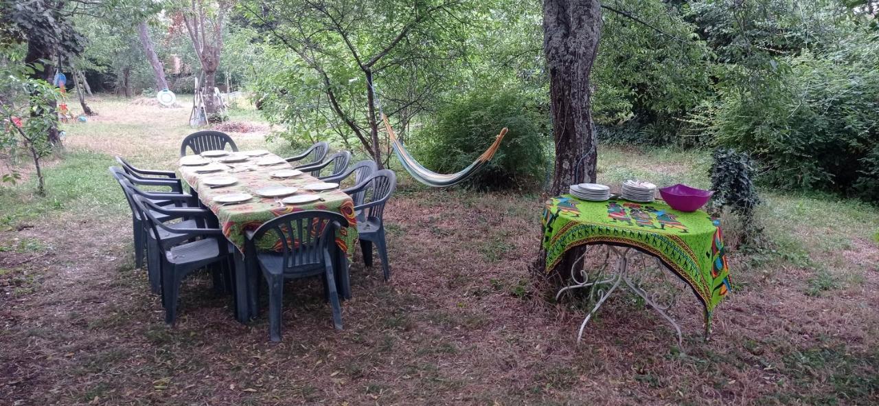 Appart Independant, 1 Lit Deux Personnes Et 1 Appoint Piscine Jardin Direct Gare Aeroport Et Jardin Toulouse Eksteriør bilde