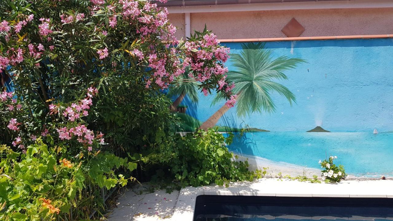 Appart Independant, 1 Lit Deux Personnes Et 1 Appoint Piscine Jardin Direct Gare Aeroport Et Jardin Toulouse Eksteriør bilde