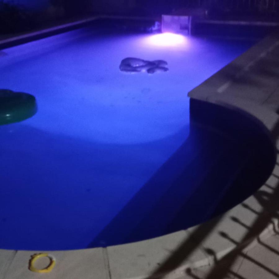 Appart Independant, 1 Lit Deux Personnes Et 1 Appoint Piscine Jardin Direct Gare Aeroport Et Jardin Toulouse Eksteriør bilde