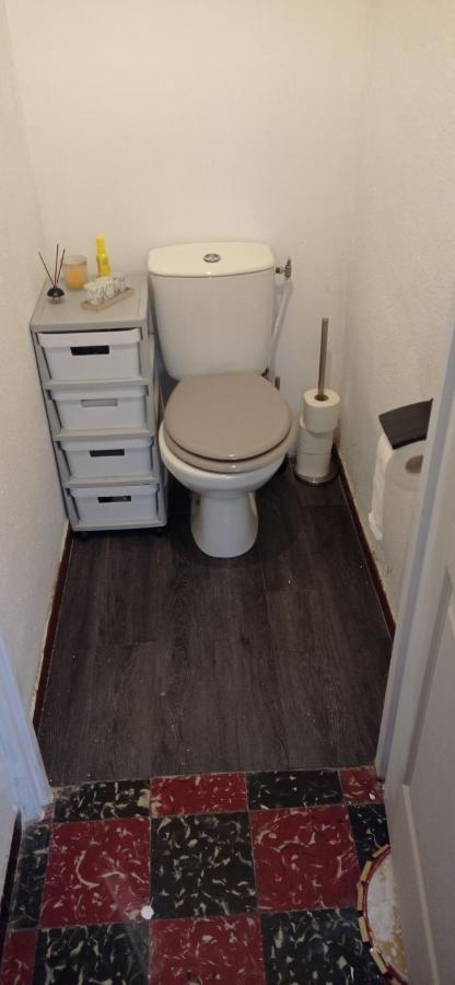 Appart Independant, 1 Lit Deux Personnes Et 1 Appoint Piscine Jardin Direct Gare Aeroport Et Jardin Toulouse Eksteriør bilde